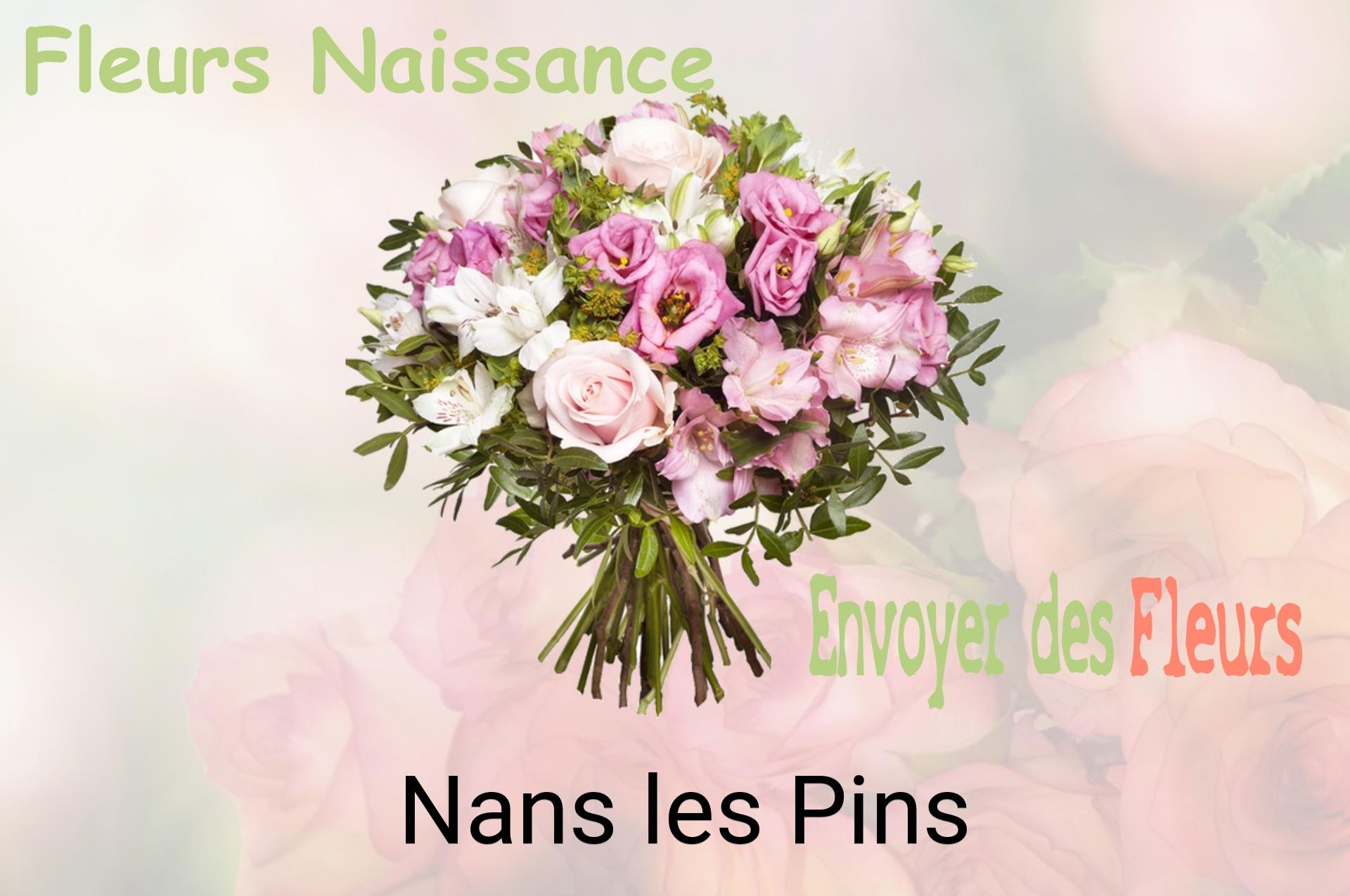 Bouquet de fleurs de naissance livré à Nans-les-Pins