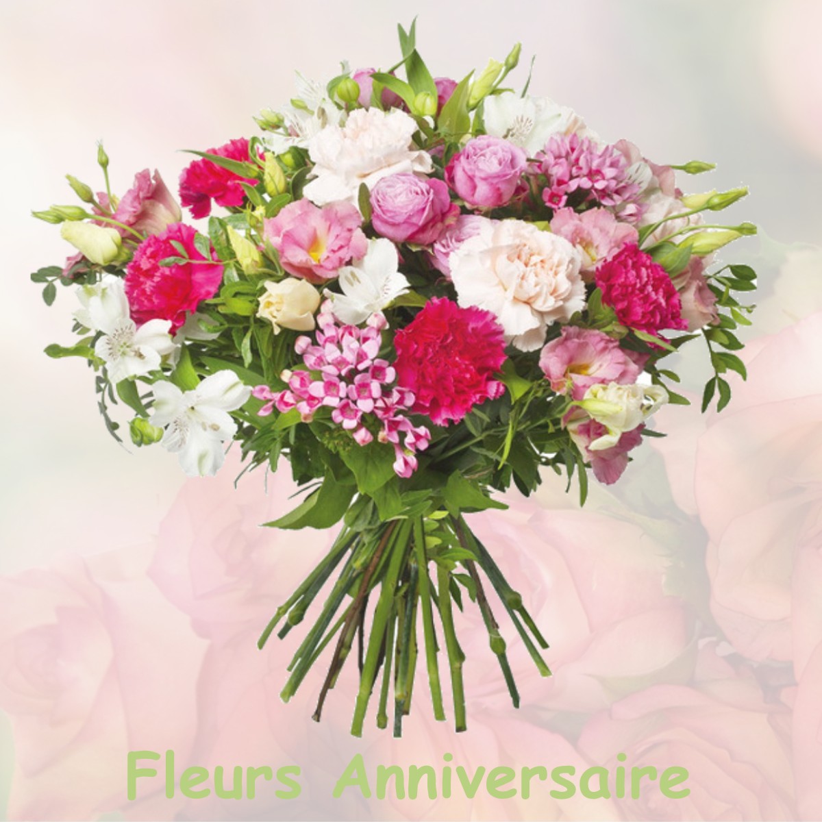 fleurs anniversaire NANS-LES-PINS